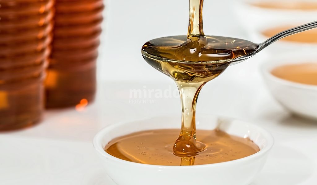 Casilda: campaa de promocin de la miel