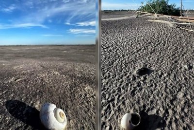Desafos en las aguas: la situacin de las lagunas del sur santafesino pone en riesgo la diversidad de ecosistemas
