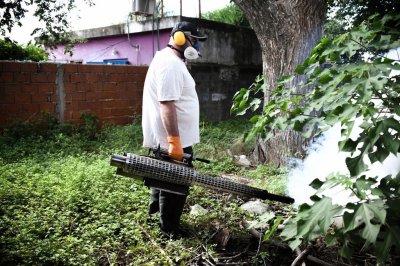 Dengue: intensifican los operativos casa por casa en las zonas de mayor circulacin