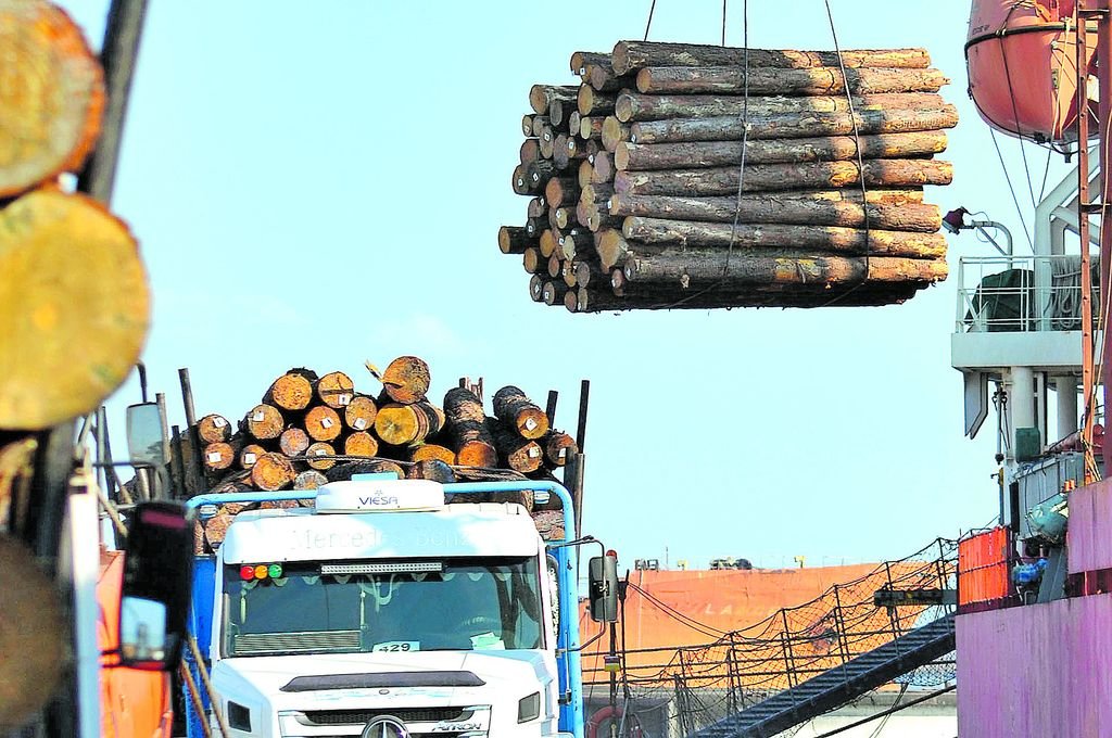 Entre Ros exporta por primera vez madera de pino y eucaliptus a China