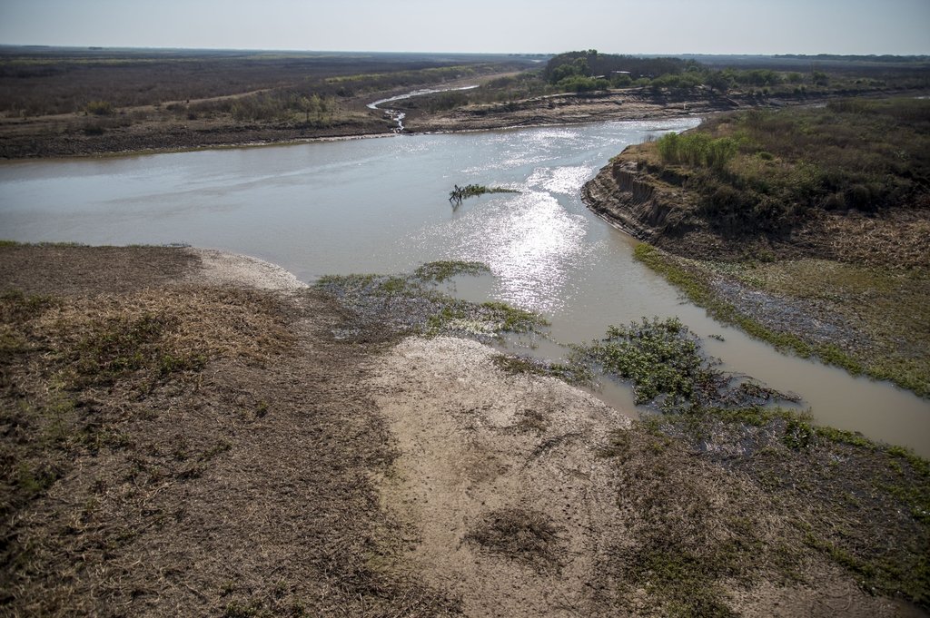 La bajante del río Paraná: temen por el impacto en la flora y fauna del  ecosistema : : Mirador Provincial : : Noticias de Santa Fe | Entre Ríos : :  