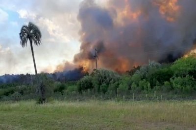 Declaran la emergencia por incendios forestales en todo el país