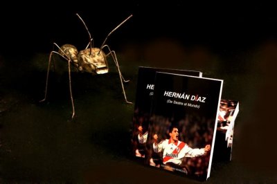 Hernán Díaz, de Sastre al mundo: la primera biografía del deportista más destacado