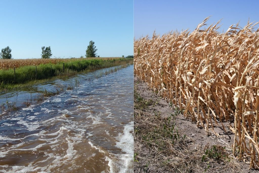 Una década con inundaciones y sequías, constantes cambios climáticos que afectaron al territorio santafesino. Foto:Fotomontaje.