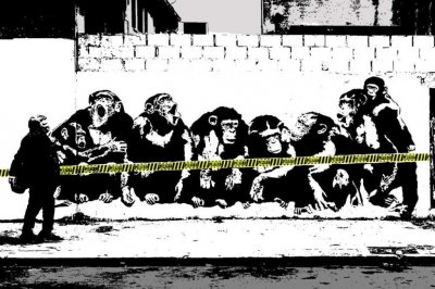 Los chimpancés de Lacast expuestos en Plataforma Lavardén
