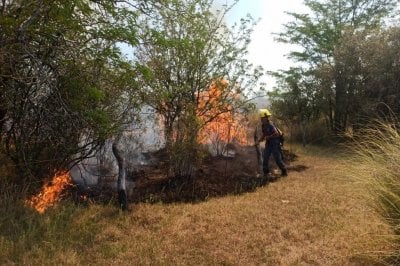Varias dotaciones de bomberos combaten incendio en zona rural de Villaguay