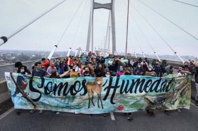 Día Mundial de los Humedales: qué ocurre con el delta del Paraná