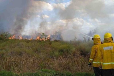 Un incendio en un campo en Larrechea generó la actuación de bomberos de toda la región