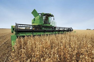 Las toneladas de cereales negociadas aumentaron un 26% en enero