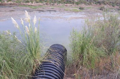 Aguas turbias: denuncian contaminación en arroyos de Rosario