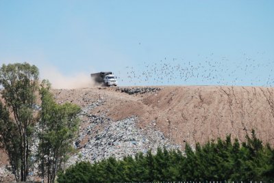 Podrían usarse incineradores de residuos en Rosario