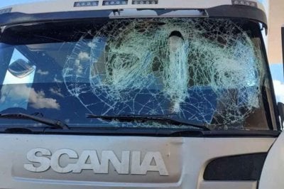Crimen del camionero: "Fue un intento de robo fallido", dijo la ministra de Seguridad de Chaco Entrevista exclusiva