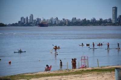 El río Paraná recibe los efluentes de más de 70 ciudades, en su mayoría sin tratar Informe del Conicet