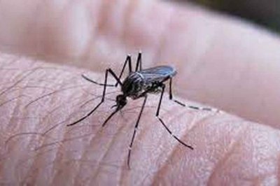 Venado Tuerto: primera persona afectada con dengue