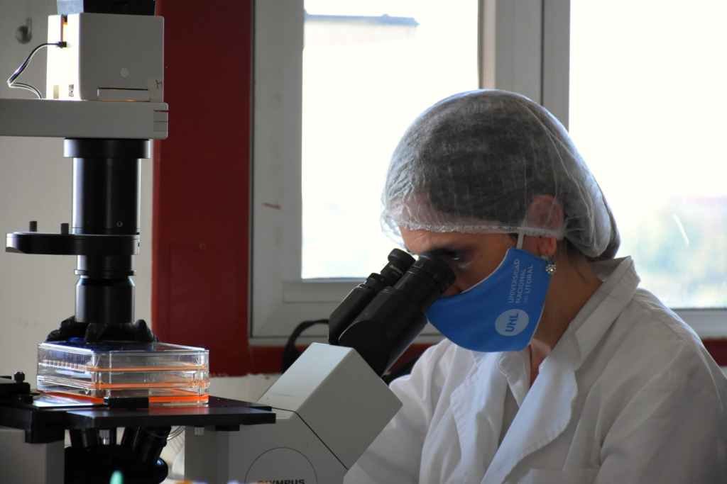 Biosynáptica está integrada por bioquímicos formados en la Universidad Nacional del Litoral (UNL) y cobijados en los laboratorios de esa casa de estudios. Foto:Archivo.