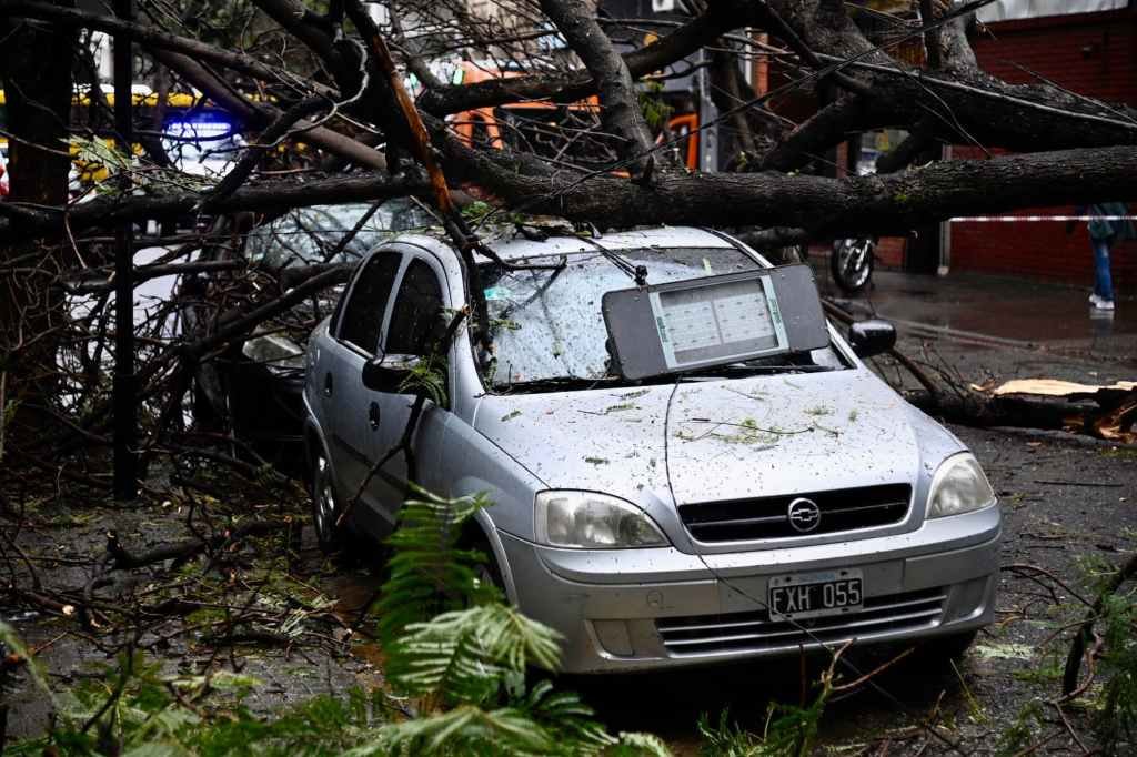 La lluvia intensa provocó la caída de un árbol en la cuadra de 3 de Febrero entre Buenos Aires y Laprida. Foto:Marcelo Manera.