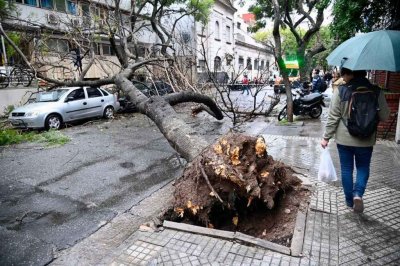 Más árboles caídos y más alcantarillas tapadas en Rosario
