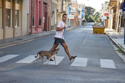 Buscan concientizar sobre la tenencia responsable de mascotas a través de una maratón lúdica
