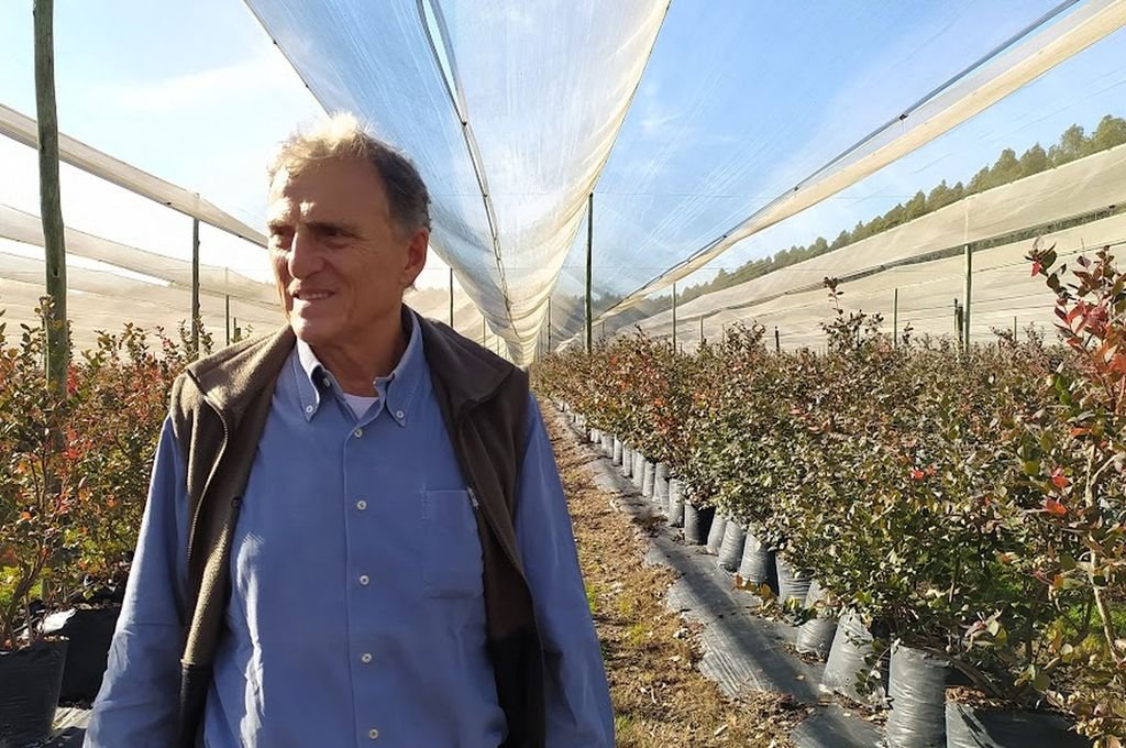 Alejandro Pannunzio, presidente Apama, explicó cómo arrancó la temporada y los desafíos de los productores de arándanos. 