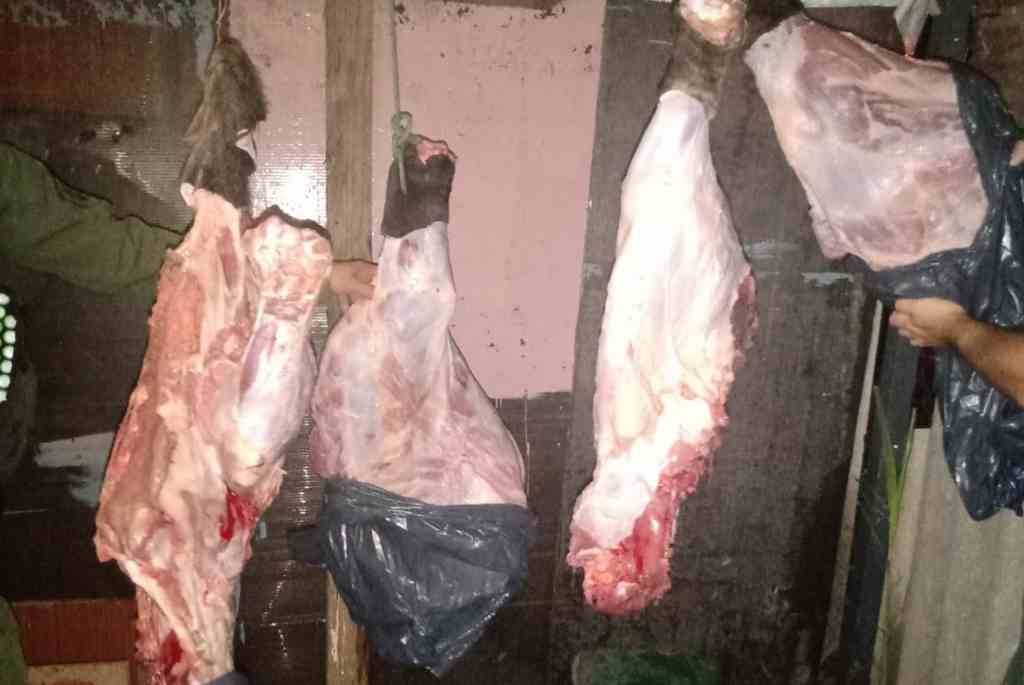 En un precario galpón estaba toda esta carne colgada. Foto:Gentileza.