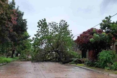 La tormenta generó problemas en San Javier