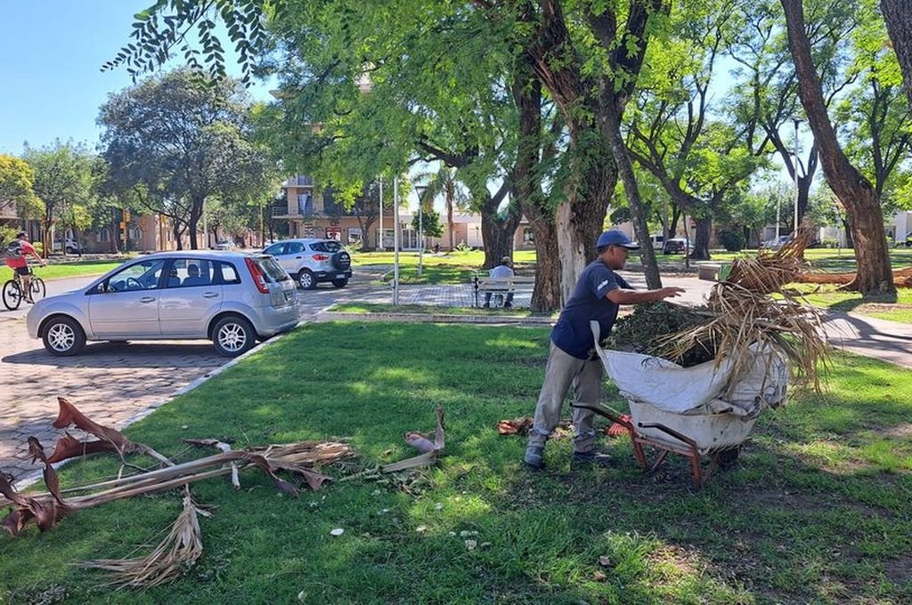 La tormenta del pasado jueves provocó daños en el alumbrado público, el cableado de servicios y la caída de más de 300 árboles, entre otros perjuicios. Foto:Gentileza