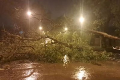 Un fuerte temporal afect a ciudades del sur santafesino