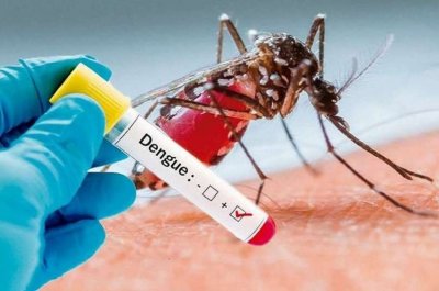 Rufino: un caso autctono de dengue se origin por un vecino ya infectado en Chaco
