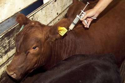 Ruralistas expresaron su disconformidad por el precio de la vacuna de aftosa