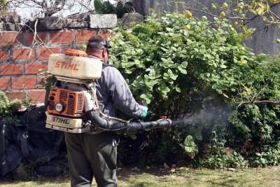 Preocupación en Rufino: ya son cuatro los casos de dengue autóctono Establecen zonas de bloqueo