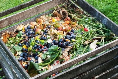 Premiar a vecinos que realicen compostaje domiciliario en San Agustn