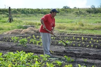 Diputados piden por la continuidad de Agricultura Familiar en la provincia Proyecto