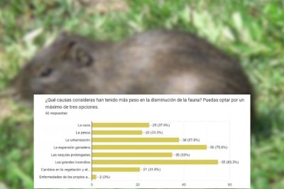 Una encuesta advierte sobre la extincin en la fauna de las islas entrerrianas
