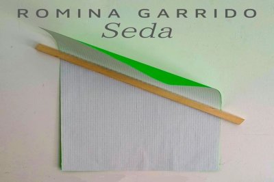 Romina Garrido inaugur su muestra Seda