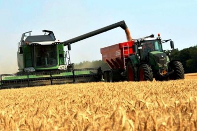La humedad y los precios impulsaran 20% la siembra de trigo
