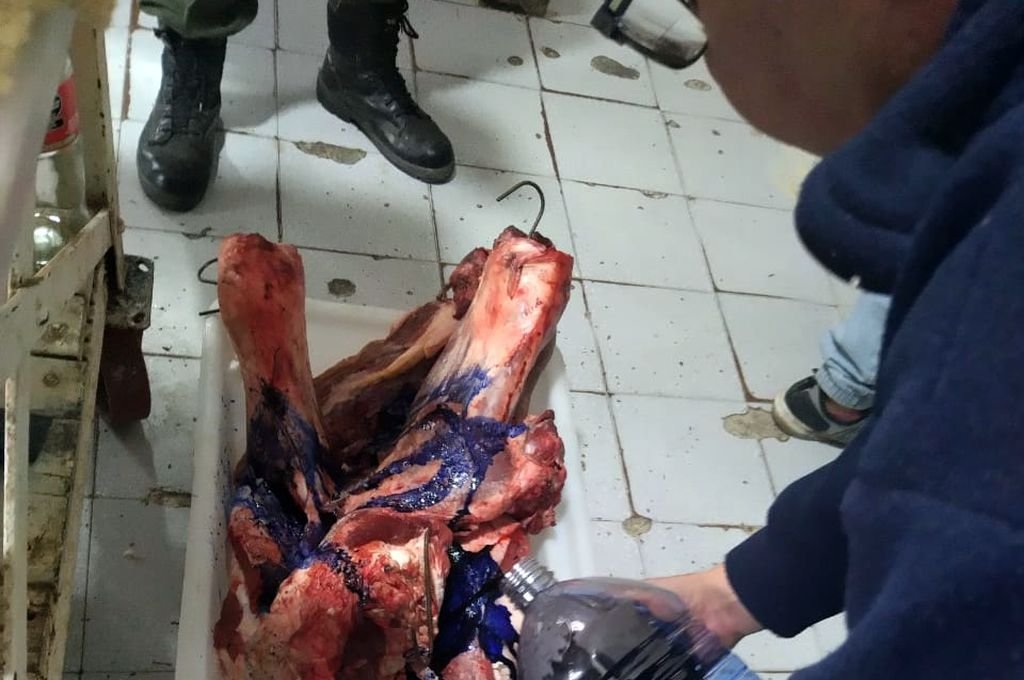 Los Pumas y Assal decomisaron 300 kilos de carne en carniceras del oeste santafesino