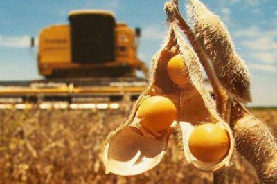 Se cosech un 34% de la soja en la provincia
