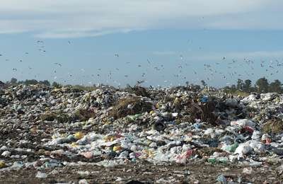 Venado Tuerto prohibirá el uso de las bolsas plásticas