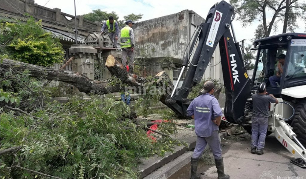 La Casita de los Pájaros fue salvada de un inminente derrumbe