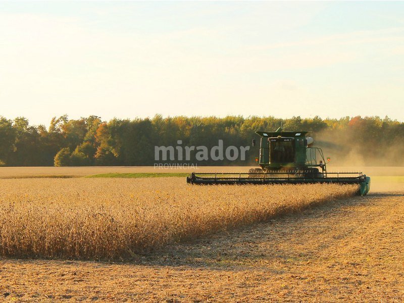 Las pérdidas del campo ascenderían ya a U$S1.050 millones