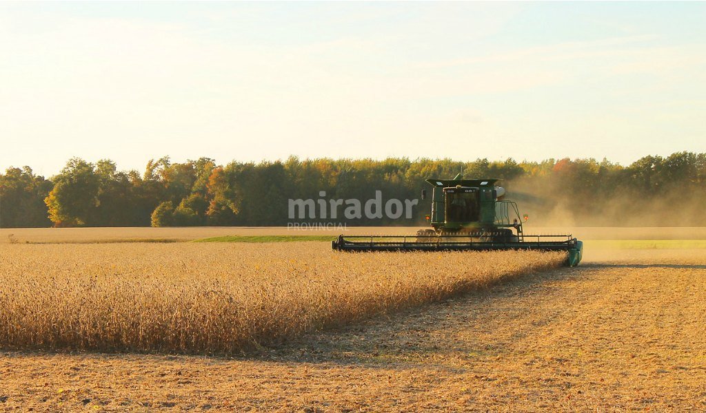 Las pérdidas del campo ascenderían ya a U$S1.050 millones