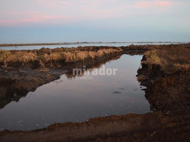 Aseguran que La Picasa no va a inundar pueblos ni cortar la Ruta 14