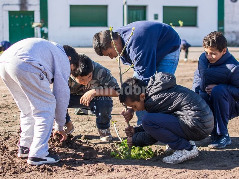 VC: plantaciones en barrio Hoppe por el Día del Árbol