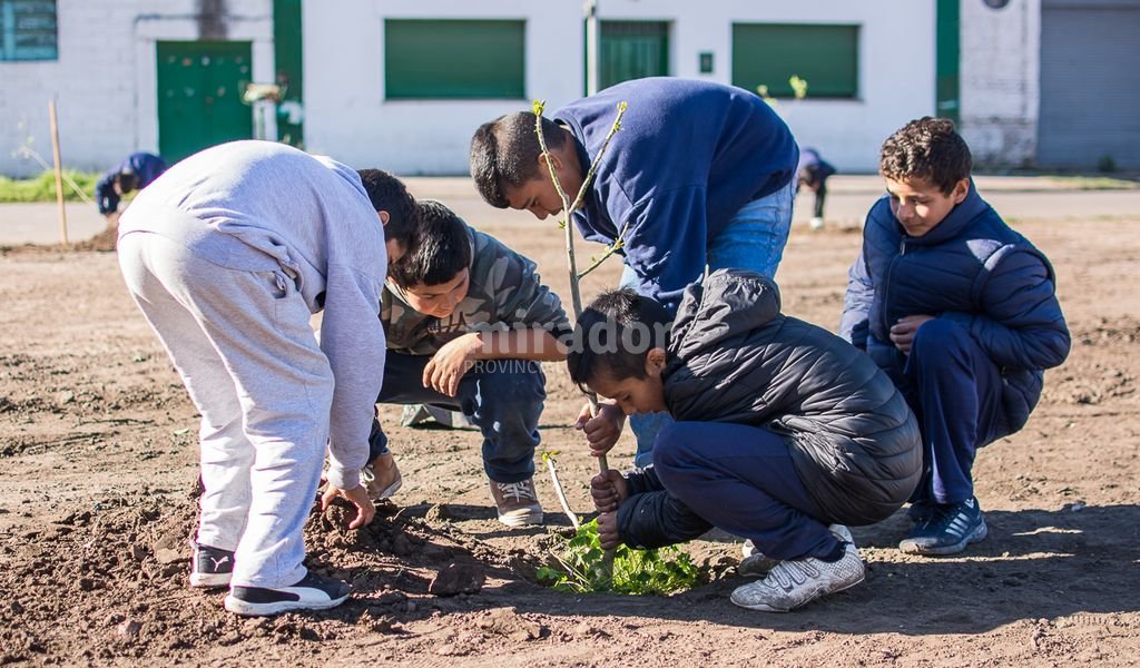 VC: plantaciones en barrio Hoppe por el Día del Árbol