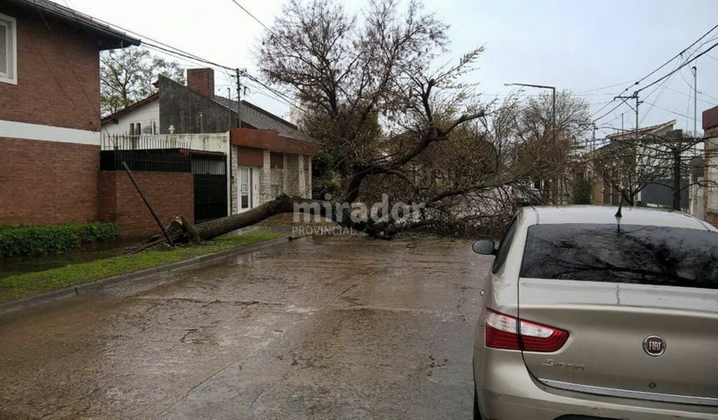 VT: autoevacuados y árboles caídos por el temporal