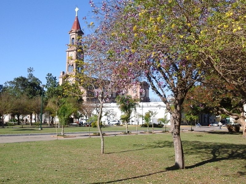 ‘Salió en el Clarín del domingo’