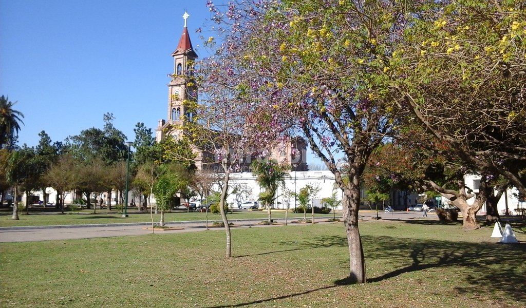 ‘Salió en el Clarín del domingo’