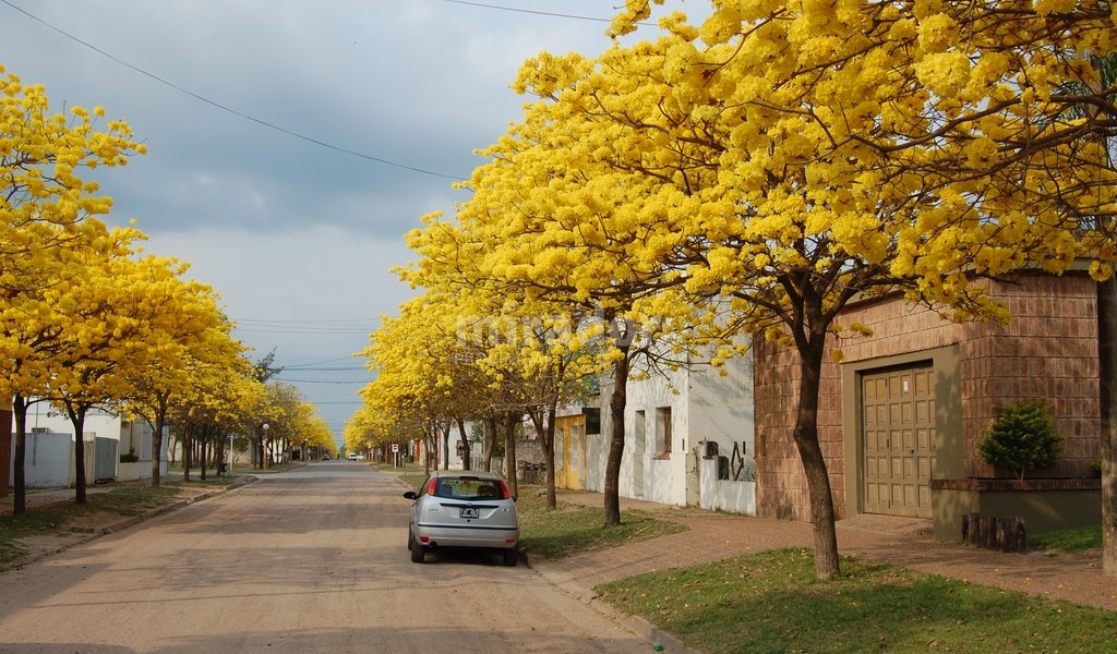 Cuatro nuevas ciudades eligieron por primera vez a sus intendentes