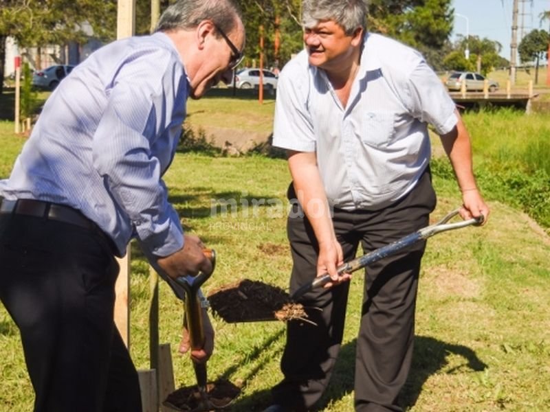 VGG: donación de 100 árboles desde el Rotary Club