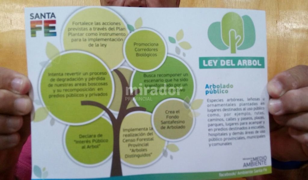 Avanza la ley del árbol
